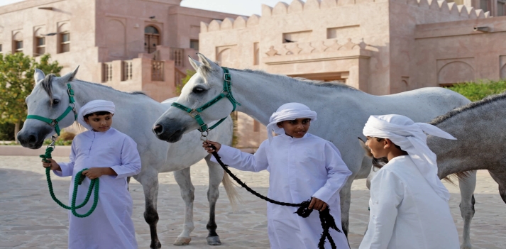Emirati Arabi Uniti, Ras Al Khaimah - Relax in una destinazione ancora poco conosciuta 2